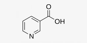 Witamina B3 (niacyna) - wzór strukturalny