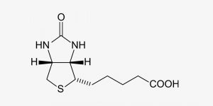 Witamina B7 - wzór chemiczny biotyny